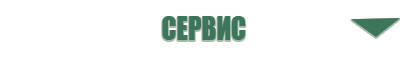 Вертебра для спины