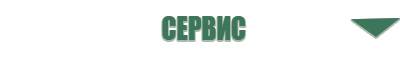 выносной электрод Вертебра 02